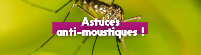 Lire la suite à propos de l’article Lutter contre les moustiques